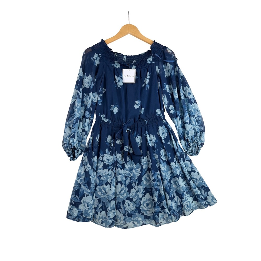 New Premier Amour Floral Print Long Sheer Sleeve Mini Dress size 2 Blue